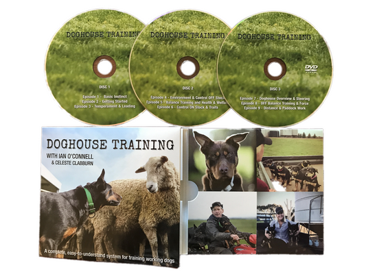 DVD Package
